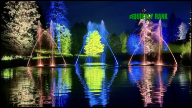 bedgebury christmas lights