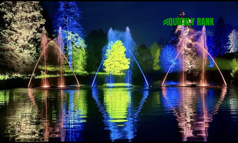 bedgebury christmas lights