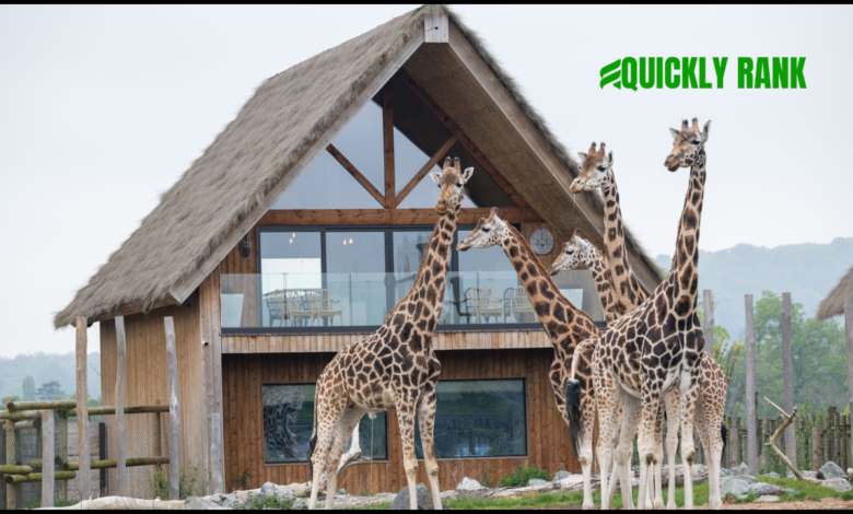west midlands safari park lodges