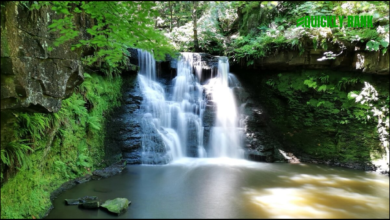 goit stock waterfall